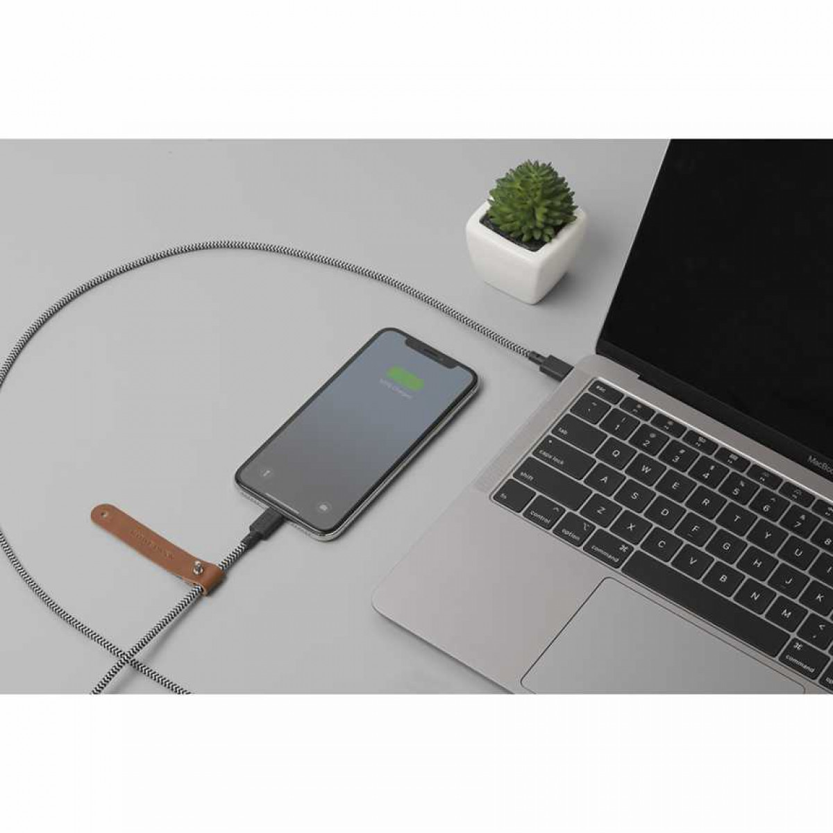 Кабель Native Union Belt Lightning/USB-C, 1.2 м, зебра